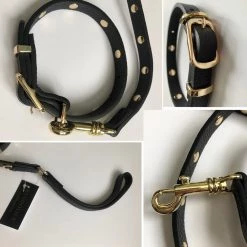 Bandolier SARAH Studded Pet Supplies Black/gold X Small -Bandolier Online Shop org 1082