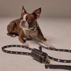 Bandolier SARAH Studded Pet Supplies Black/gold X Small -Bandolier Online Shop org 1088