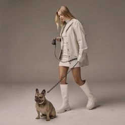 Bandolier Pet Supplies Black/gold X Small -Bandolier Online Shop org 358