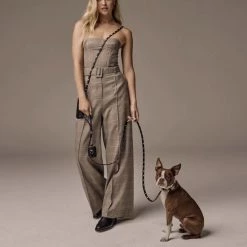 Bandolier Pet Supplies Black/gold X Small -Bandolier Online Shop org 361