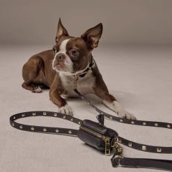 Bandolier Pet Supplies Black/gold X Small -Bandolier Online Shop org 365