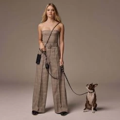 Bandolier 2022 SS Pet Supplies Black/gold X Large 25 Bandolier 2022 SS Pet Supplies Black/gold X Large -Bandolier Online Shop org 5322