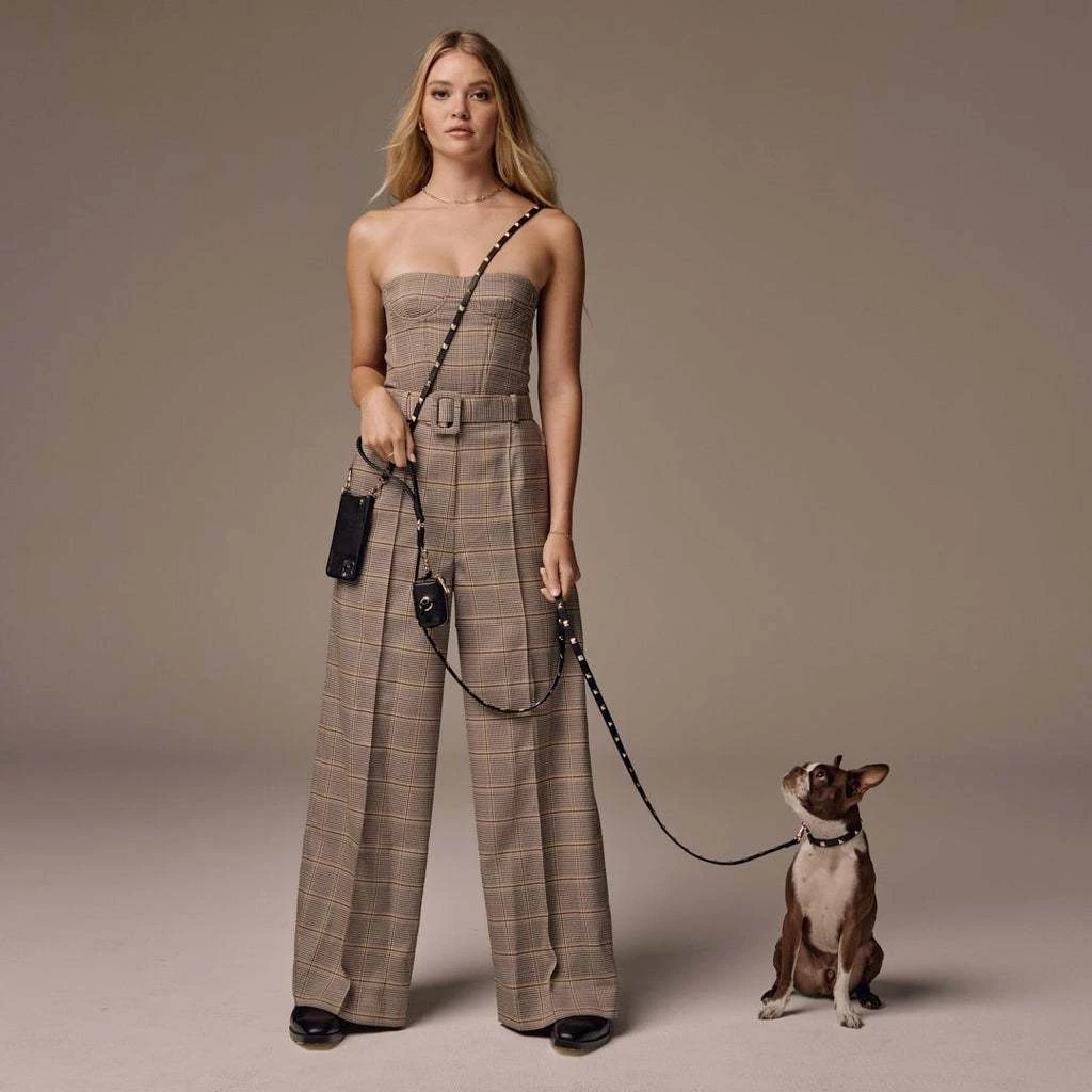 Bandolier 2022 SS Pet Supplies Black/gold X Large 11 Bandolier 2022 SS Pet Supplies Black/gold X Large - Image 11