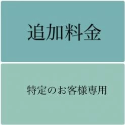 Bandolier Plain Leather Logo IPhone 13 IPhone 13 Pro IPhone 13 Pro Max For Women Black/gold X Iphone 12/ 12 Pro