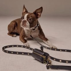 Bandolier SARAH Pet Supplies Black/gold X Small -Bandolier Online Shop org 7067