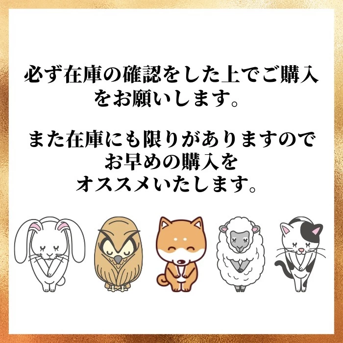 Bandolier EMMA Smart Phone Cases For Women Silver X Iphone 11 Pro Max 2 Bandolier EMMA Smart Phone Cases For Women Silver X Iphone 11 Pro Max - Image 2