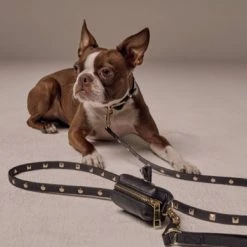 Bandolier SARAH 2020-21FW Pet Supplies No Color Specification X L -Bandolier Online Shop org 8617