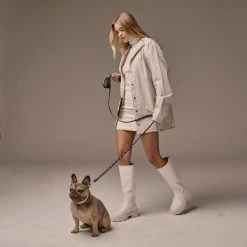 Bandolier SARAH Unisex Studded Street Style Pet Supplies Black/gold X Small -Bandolier Online Shop org 9474