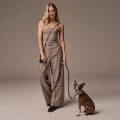 Bandolier SARAH Unisex Studded Street Style Pet Supplies Black/gold X Small -Bandolier Online Shop org 9476